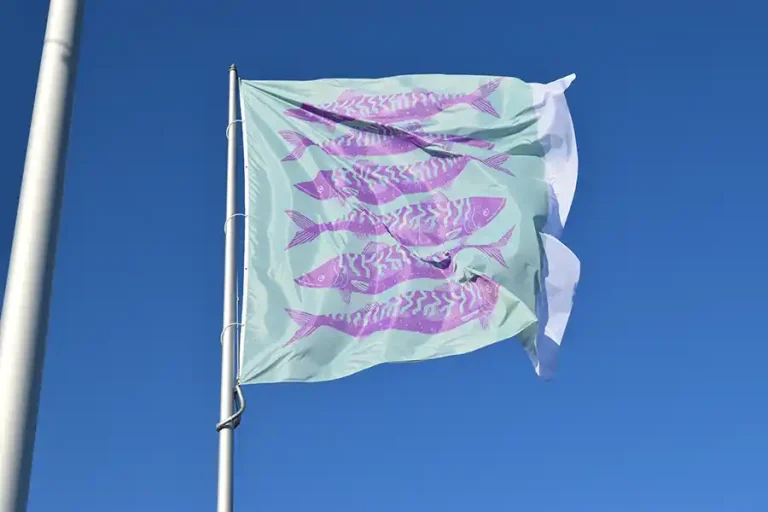 Prom Flags 2025 News