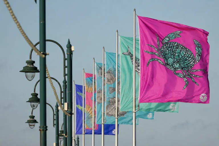 Prom Flags 2026