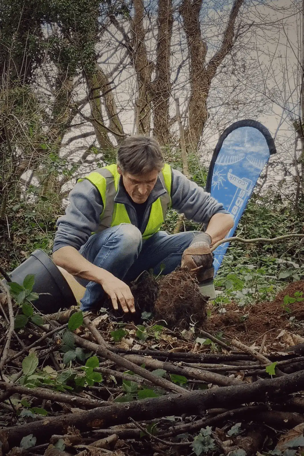 sailflags tree planting